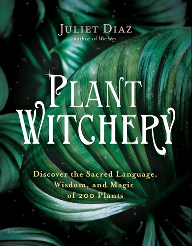 Plant witchery juliet diaz - plant,